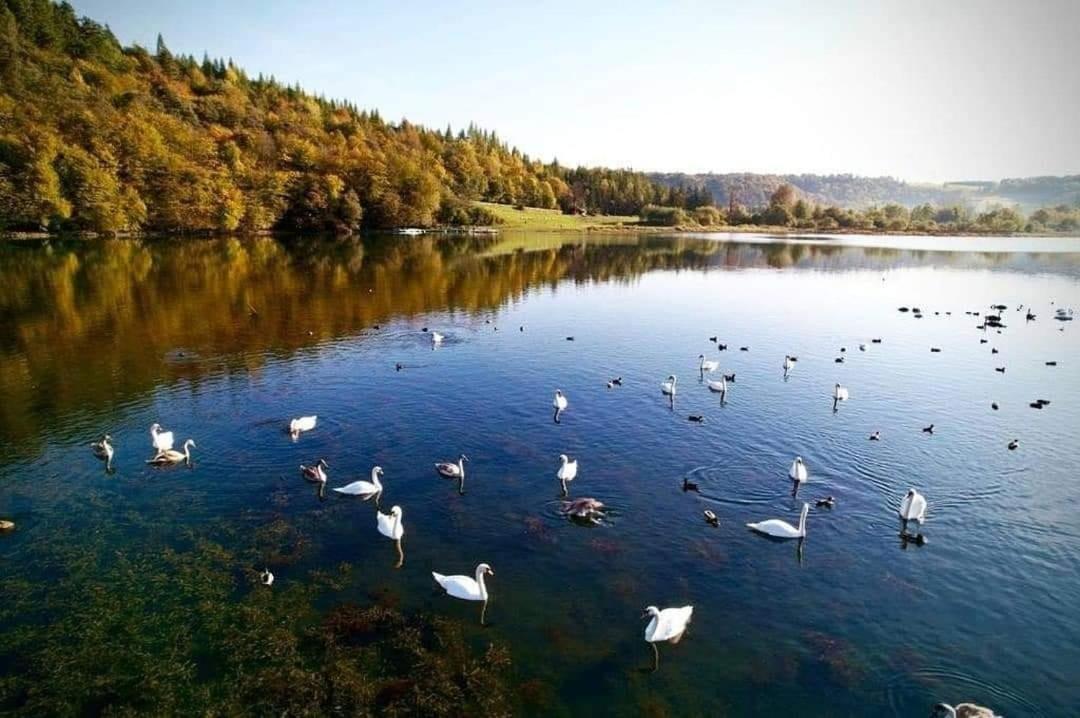 Domki Solina Róża Wiatrów Solina (Podkarpackie) Exterior foto